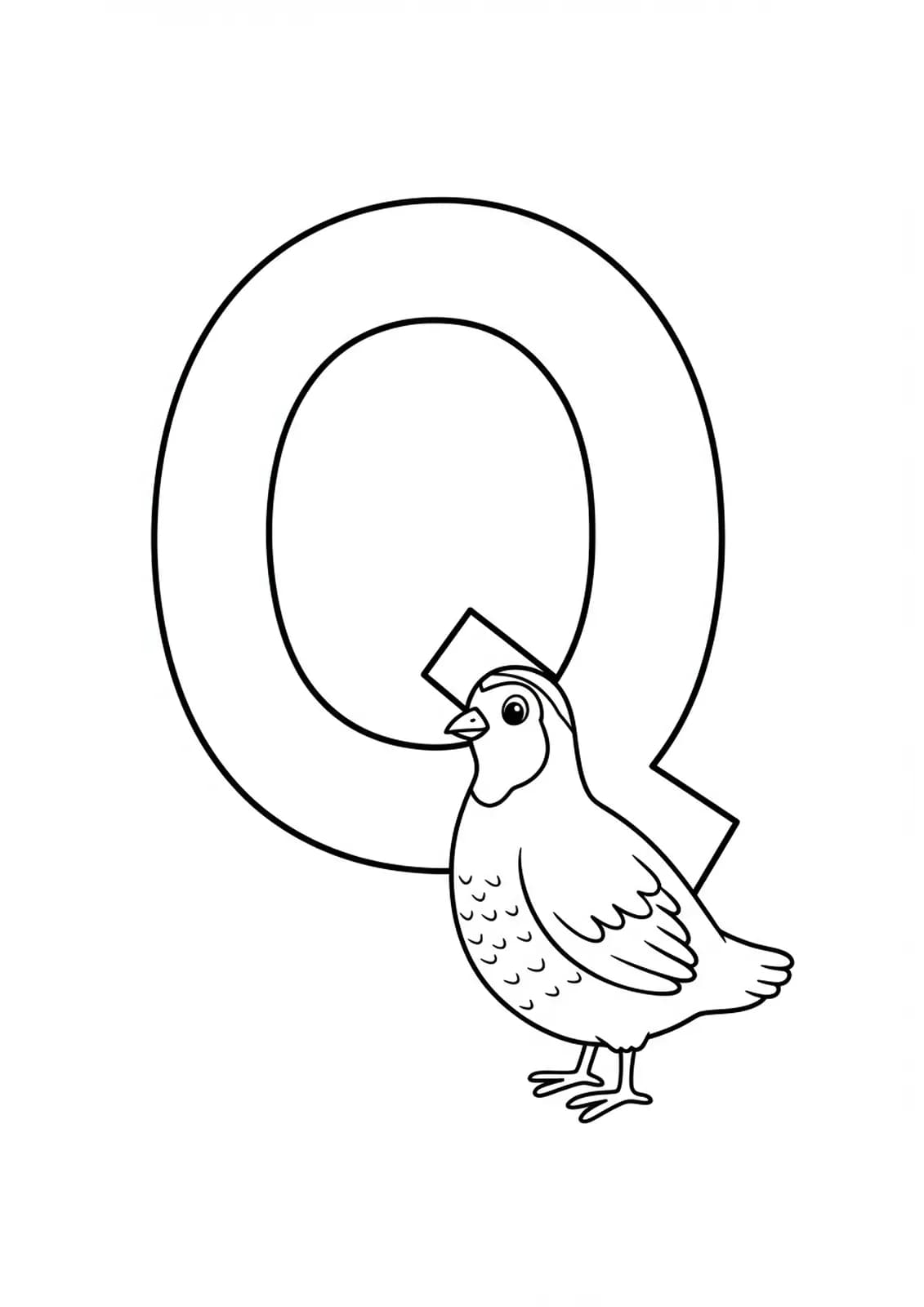 A large letter Q with a simple quail standing next to it, both with easy outlines for preschoolers to color.