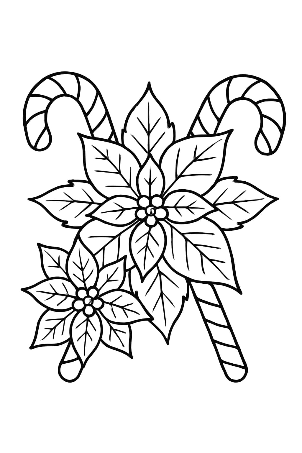 Easy coloring page of Christmas poinsettia flowers and candy canes, designed for elementary kids.