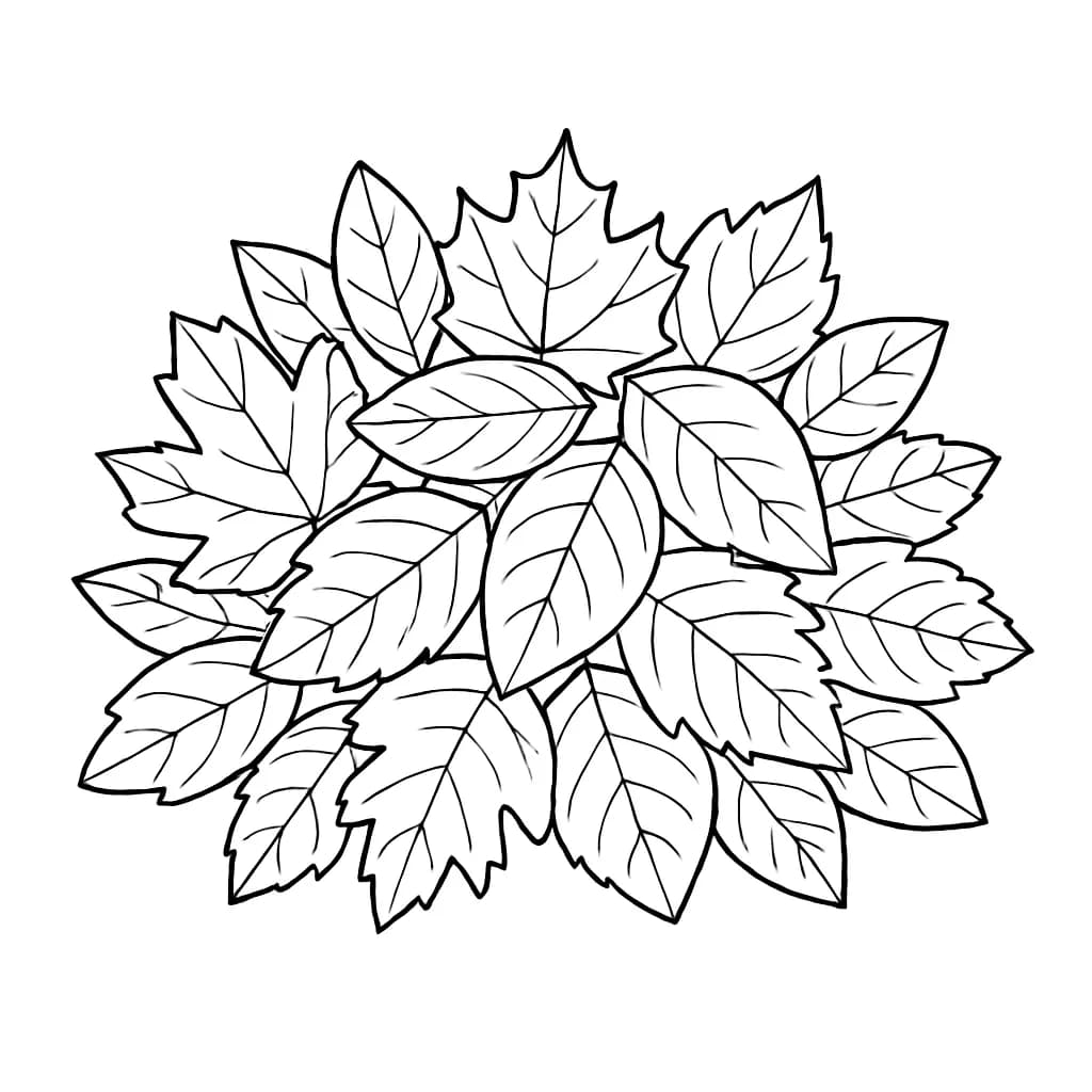 Simple pile of big fall leaves for kids to color.