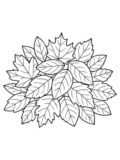 Simple pile of big fall leaves for kids to color.