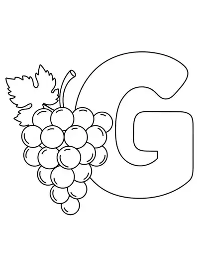 Large letter G with a bunch of simple outlined grapes, easy coloring for young kids.