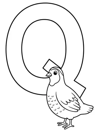A large letter Q with a simple quail standing next to it, both with easy outlines for preschoolers to color.
