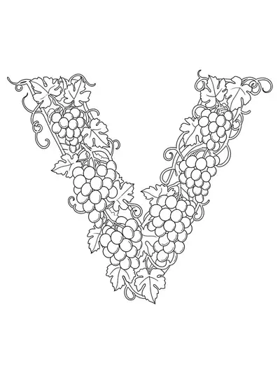 Line art of the letter V made from grape vines and grapes, detailed leaves and curling tendrils.