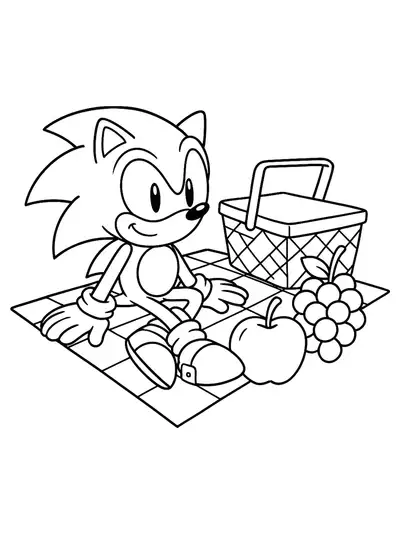 Sonic sitting on a picnic blanket with a picnic basket and fruit.